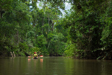 5 Day Cuyabeno Amazon Experience