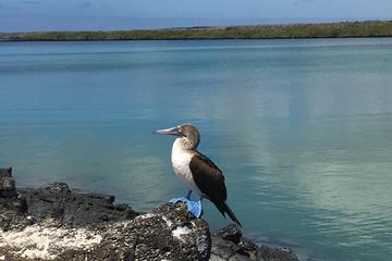 5-Day Galapagos Islands Exploration