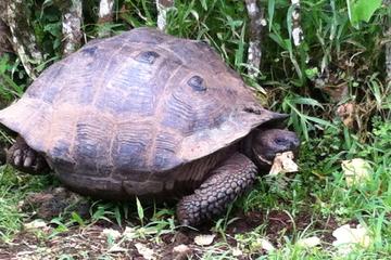 5 DAY GALAPAGOS LUXE GROUP ISLAND HOPPING