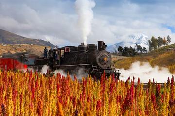 5 DAY TRAIN OF WONDERS