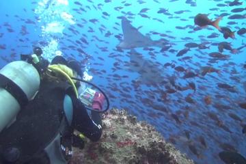 6-Day Galapagos PADI Diving Course