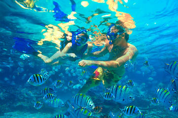 7 Day Galapagos Island Hopping with Los Tuneles - Tourist class
