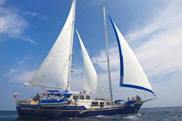 Beagle Cruise At Galapagos Islands