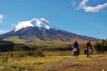 Cotopaxi Hiking and Biking Day Tour from Quito