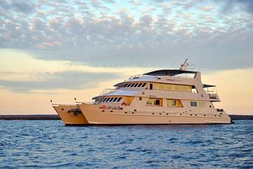 Last-Minute Discounted Galapagos  4-, 5, 7, or 8-day Cruise