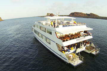 Millennium Cruise At Galapagos Islands
