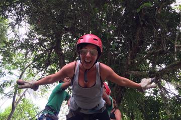 Mindo Zip Lining, Butterfly Farm and The Hummingbirds Shared Tour from Quito