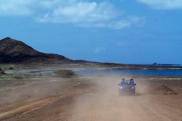 Island Adventure with Shark Experience from Santa Maria