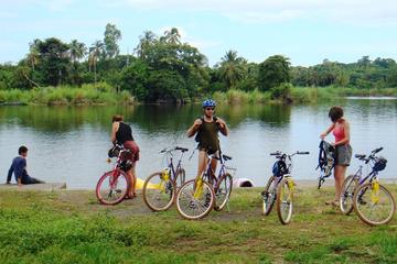 4-Hour Tour of Granada by Bike