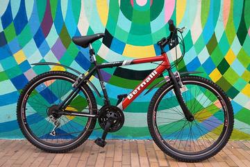 Bike Rental 4 or 8-Hour in Bogotá