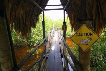 boat tour and guided walk through the estuary