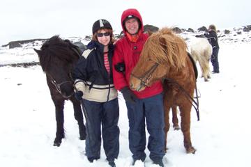 Horse-Riding and Blue Lagoon from Reykjavik