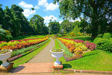 2 Day Private Tour - Nuwara Eliya -Kandy