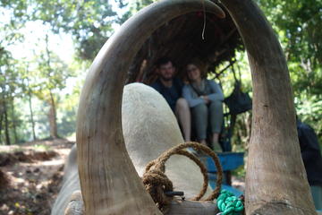 Discover Sigiriya and Hiriwadunna Village (Private Day Trip From Colombo)