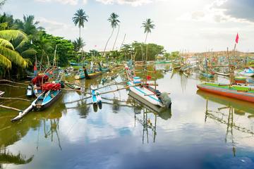 Explore Negombo - Muthurajawela (Vehicle Only Private Day Trip From Colombo)
