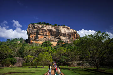 Sigiriya Rock and Dambulla Cave Temple Private Full-Day Tour from Colombo