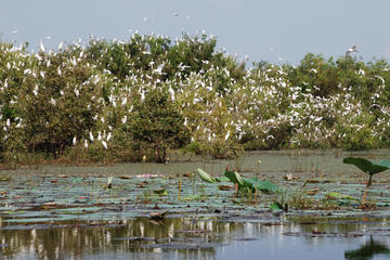 Mekong Delta Tours 3days - CaiBe Vinh Long ChauDoc CanTho