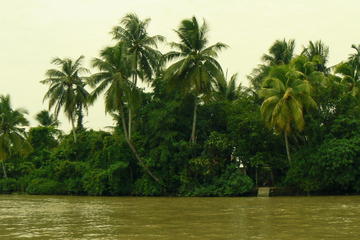 Mekong Delta Tours CanTho 2days - Boat cruise in natural waterways