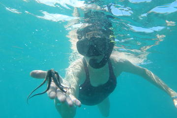 Culebra Snorkeling