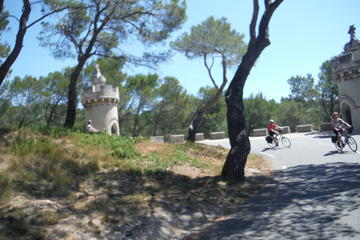 Private Guided Bike Tour Around Saint Rémy and the Provencal Countryside from Avignon