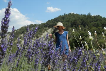 Private Guided Walking Tour in the Hills of Provence Including Gordes and Sénanque Abbey from Avignon