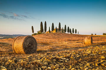 Private Chianti Tuscany Wine Tasting Tour from Florence