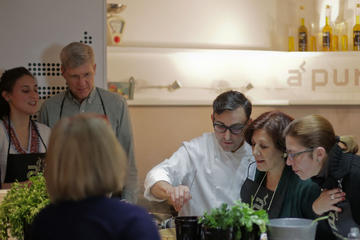 Paella and Tapas Cooking Workshop in Madrid