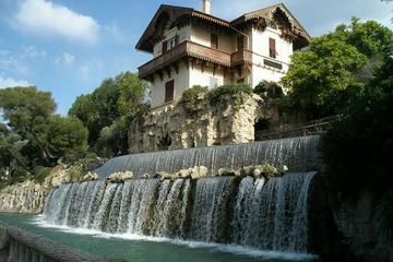 Private Panoramic Tour of Nice