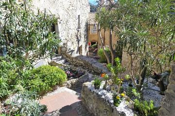 Villefranche Shore Excursion: Private Tour of Eze, Monaco and the Riviera corniches