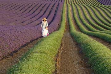Wonderful Provence - Private tour