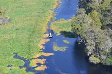 Busch Gardens and Alafia River Wildlife Helicopter Tour