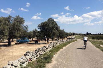 From Lecce to the Coast Full-day Bike Tour