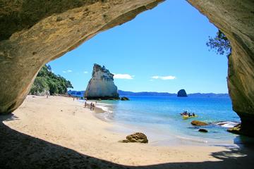 Full-Day Coromandel Tour from Auckland