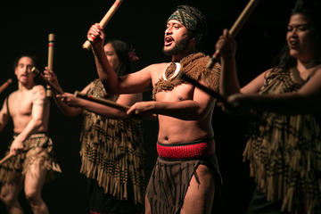 Full-Day Kiwi Culture Tour from Auckland