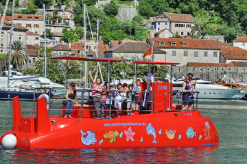 Semi Submarine excursions
