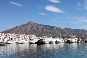 Malaga Private Shore Excursion: Marbella and Puerto Banus