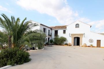 Malaga Private Shore Excursion: Olive Oil Tour with Tastings