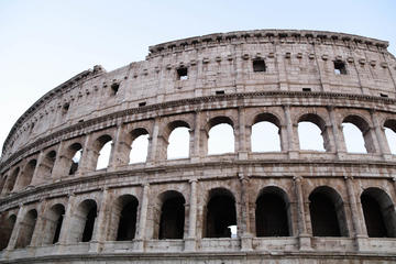 Guided Tour of Imperial Rome: Colosseum, Roman Forum and Palatine Hill