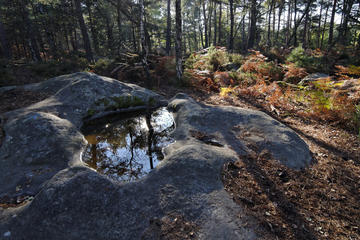 Fontainebleau Barbizon Full  Day Private Guided Tour from Paris