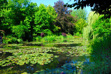 Giverny - Auvers Van Gogh Full Day Private Guided Tour from Paris