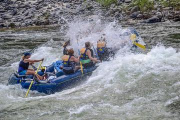 Day Trip Full Day Rafting Trip near Riggins, Idaho 