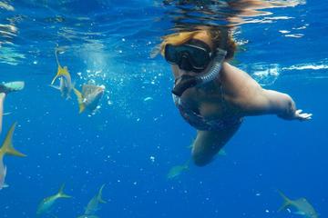 Turks and Caicos Shore Excursion: Ultimate Snorkeling