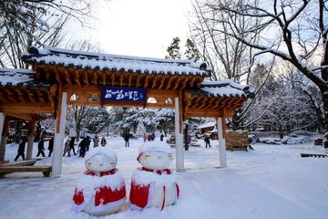 Day Trip to Nami Island and Gangchon Elysian Ski Resort from Seoul