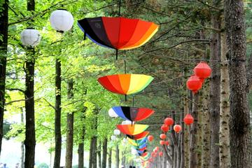Day Trip to Nami Island and Railbike Tour from Seoul