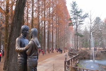 Full Day Nami Island and Garden of Morning Calm Tour from Seoul