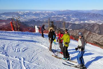 Snow or Ski Day Trip to Yongpyong or Phoenix Park Resort from Seoul