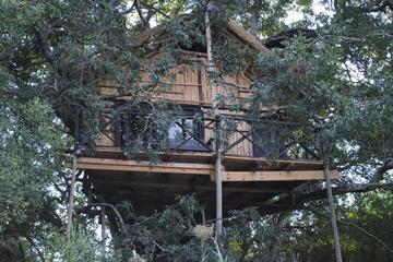 3 Day Kruger Tree House Safari