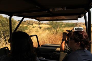 Full-Day Pilanesburg Nature Reserve Tour