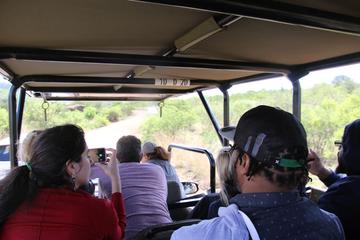 Full Day Ultimate Pilanesberg National Park Safari