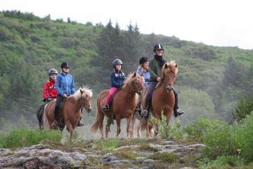 Excursion d'équitation en Islande au départ de Reykjavik